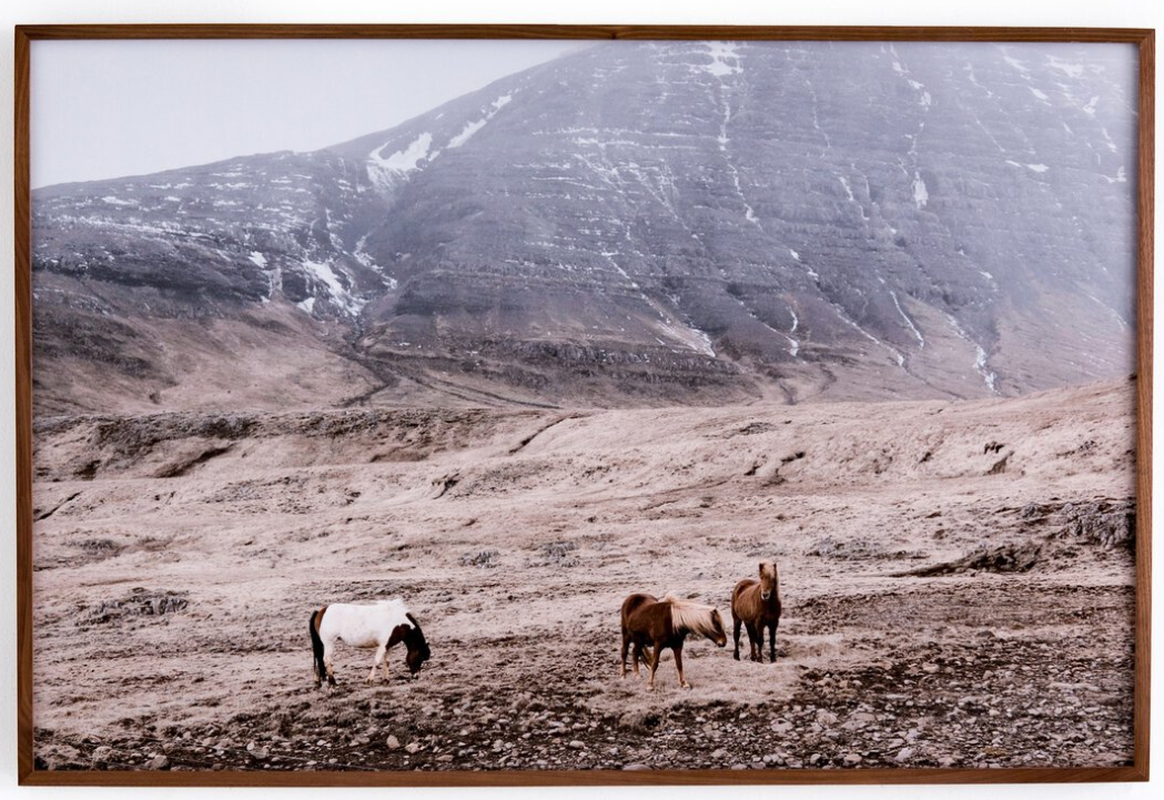 Wild Horses