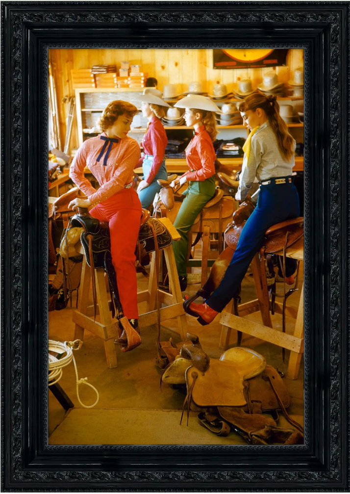 Ladies of the Saddle