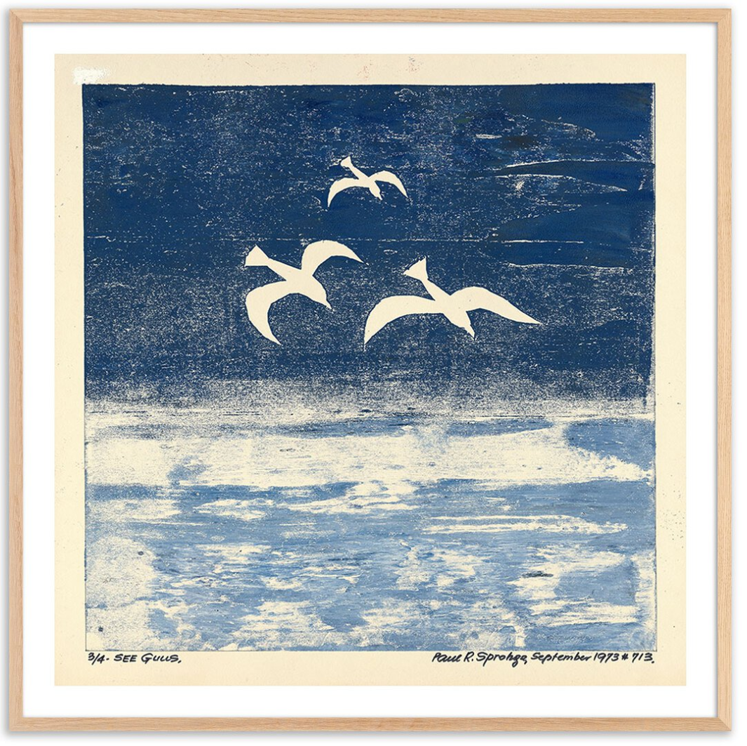 See Gulls by Pepi Sprohge